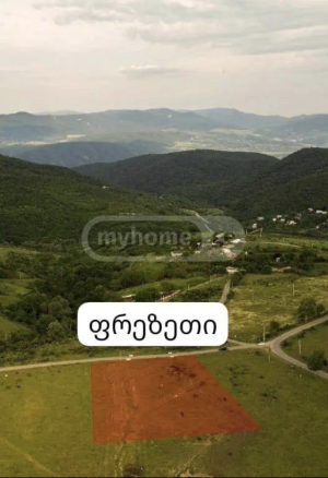 იყიდება მიწის ნაკვეთები